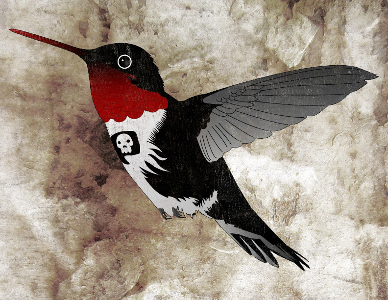 hummingbird