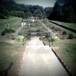 deep cut deep cut garden